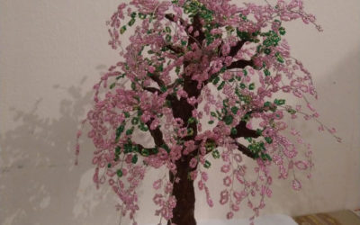 Saga de la préfecture